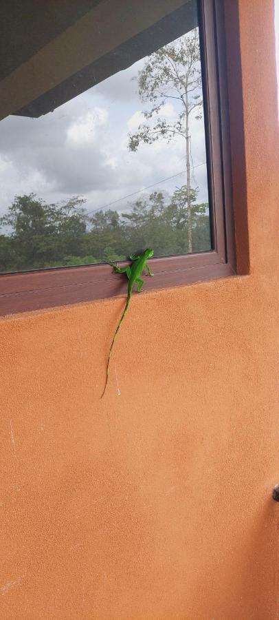 Green Leaf House La Fortuna ภายนอก รูปภาพ